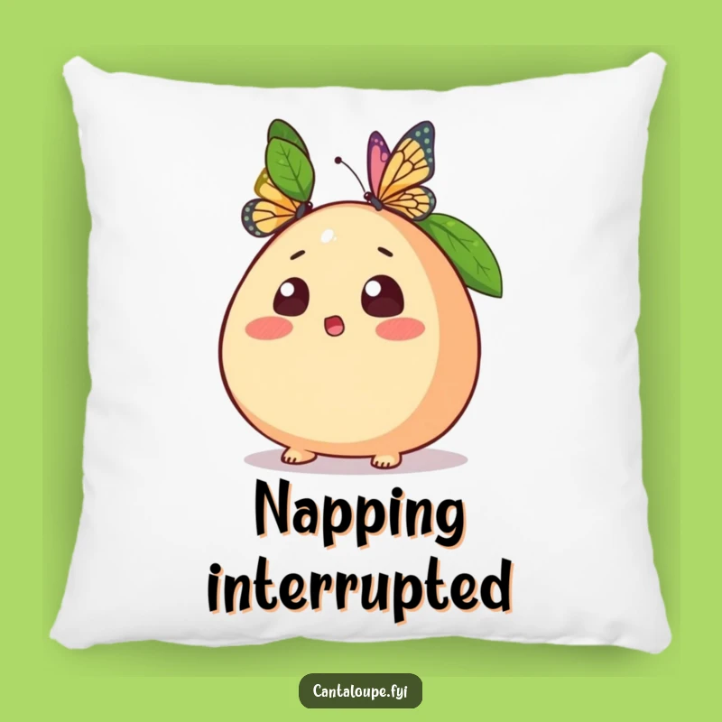 Funny Cantaloupe Pillow: Cozy Surprise for a Hilarious Accent and Funny Gift